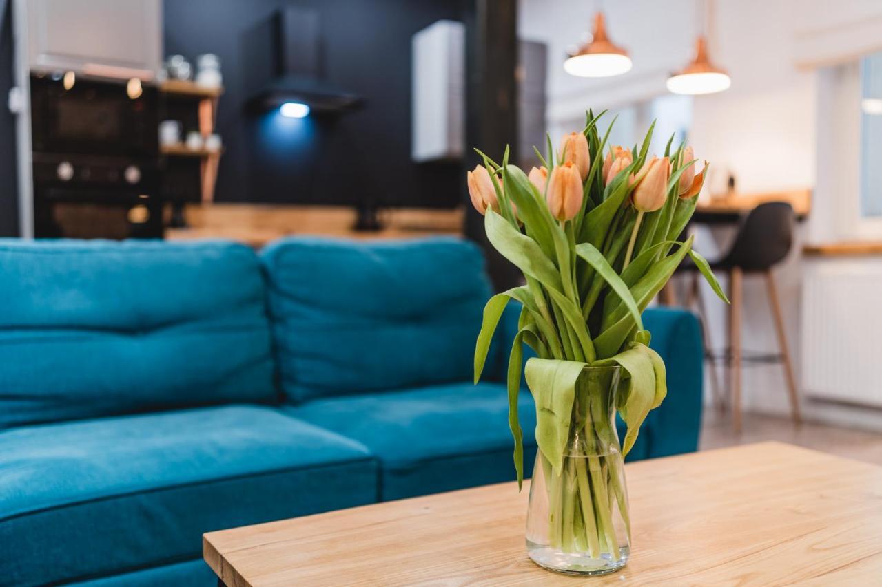 Modern Apartments Torun 2 Stare Miasto-Centrum المظهر الخارجي الصورة